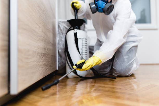Reliable Muscoda, WI Pest Control Solutions