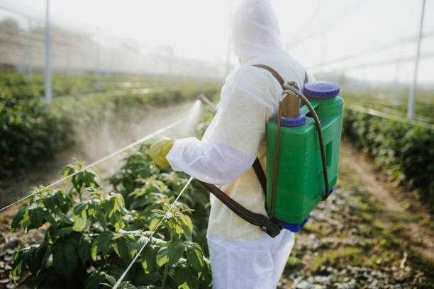 Best Best Pest Control Companies  in Muscoda, WI